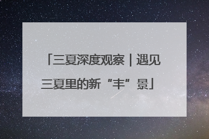 三夏深度观察｜遇见三夏里的新“丰”景