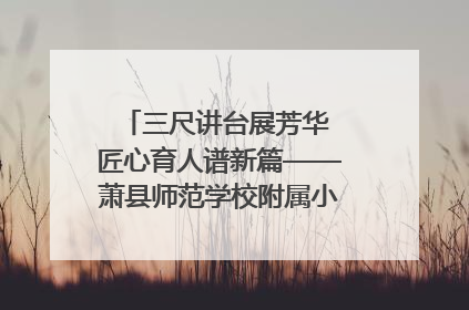 三尺讲台展芳华 匠心育人谱新篇——萧县师范学校附属小学第十三届班主任基本功大赛圆满举办