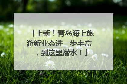 上新！青岛海上旅游新业态进一步丰富，到这里潜水！