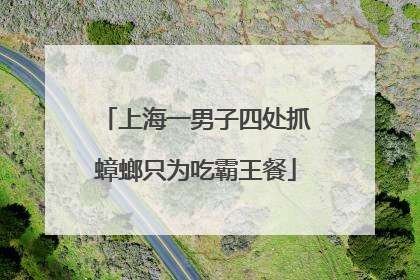 上海一男子四处抓蟑螂只为吃霸王餐