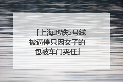 上海地铁5号线被逼停只因女子的包被车门夹住
