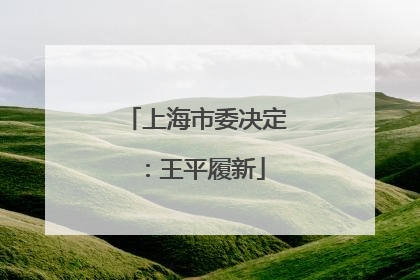 上海市委决定：王平履新