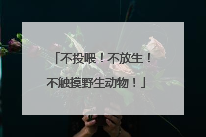 不投喂！不放生！不触摸野生动物！