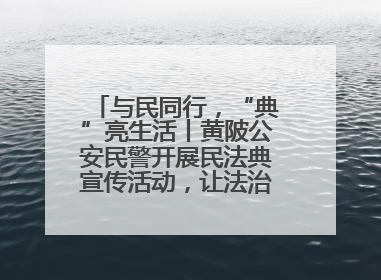 与民同行，“典”亮生活丨黄陂公安民警开展民法典宣传活动，让法治精神在群众心中落地生根