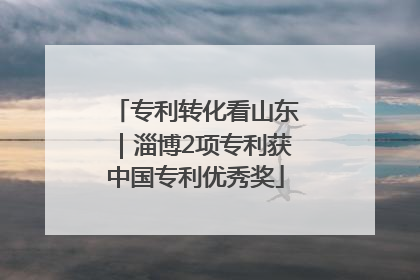 专利转化看山东｜淄博2项专利获中国专利优秀奖
