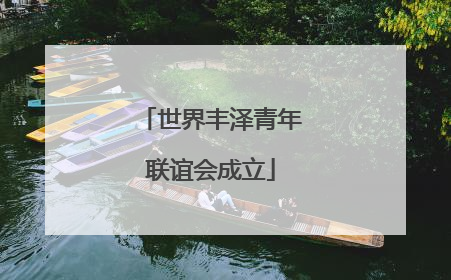 世界丰泽青年联谊会成立