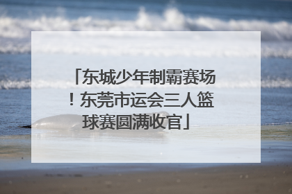 东城少年制霸赛场！东莞市运会三人篮球赛圆满收官