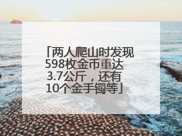 两人爬山时发现598枚金币重达3.7公斤，还有10个金手镯等