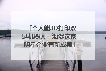 个人能3D打印双足机器人，海淀这家明星企业有新成果