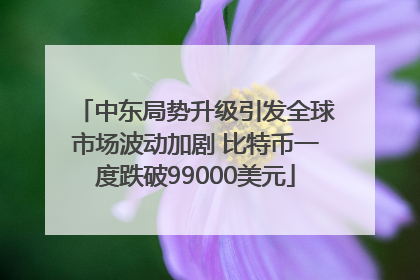 中东局势升级引发全球市场波动加剧 比特币一度跌破99000美元
