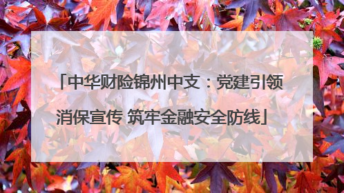 中华财险锦州中支：党建引领消保宣传 筑牢金融安全防线