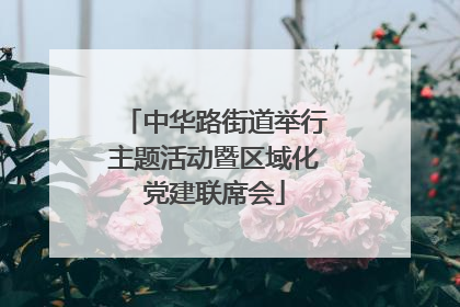中华路街道举行主题活动暨区域化党建联席会