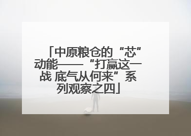 中原粮仓的“芯”动能——“打赢这一战 底气从何来”系列观察之四