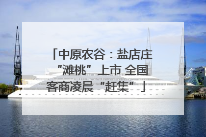 中原农谷：盐店庄“滩桃”上市 全国客商凌晨“赶集”
