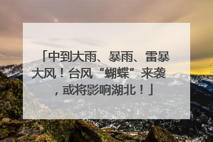 中到大雨、暴雨、雷暴大风！台风“蝴蝶”来袭，或将影响湖北！