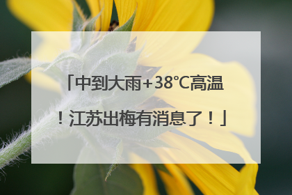 中到大雨+38℃高温！江苏出梅有消息了！