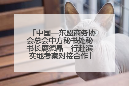 中国—东盟商务协会总会中方秘书处秘书长鹿德晶一行赴滨实地考察对接合作