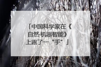 中国科学家在《自然·机器智能》上露了一“手”