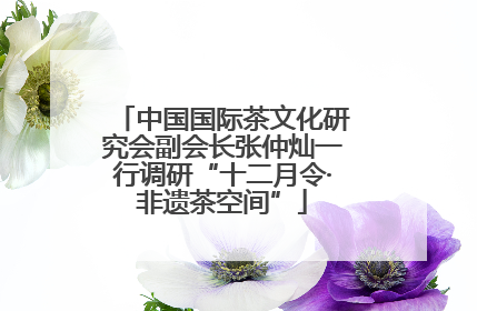 中国国际茶文化研究会副会长张仲灿一行调研“十二月令·非遗茶空间”