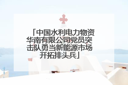 中国水利电力物资华南有限公司党员突击队勇当新能源市场开拓排头兵