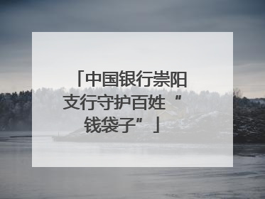 中国银行崇阳支行守护百姓“钱袋子”