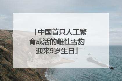 中国首只人工繁育成活的雌性雪豹迎来9岁生日