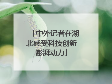 中外记者在湖北感受科技创新澎湃动力