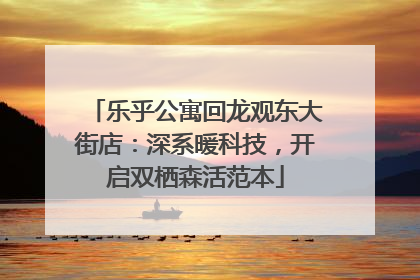 乐乎公寓回龙观东大街店：深系暖科技，开启双栖森活范本