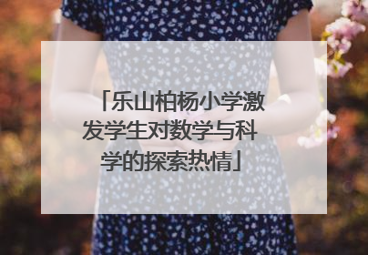 乐山柏杨小学激发学生对数学与科学的探索热情