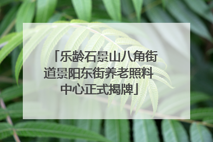 乐龄石景山八角街道景阳东街养老照料中心正式揭牌