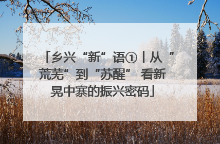 乡兴“新”语①丨从“荒芜”到“苏醒” 看新晃中寨的振兴密码