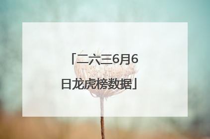 二六三6月6日龙虎榜数据