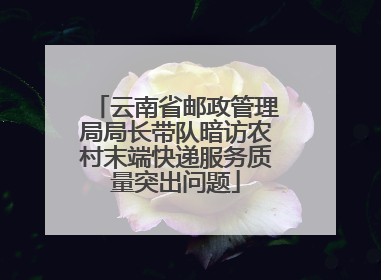 云南省邮政管理局局长带队暗访农村末端快递服务质量突出问题
