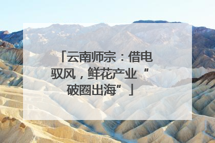 云南师宗：借电驭风，鲜花产业“破圈出海”