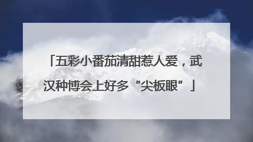 五彩小番茄清甜惹人爱，武汉种博会上好多“尖板眼”