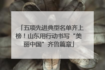 五项先进典型名单齐上榜！山东用行动书写“美丽中国”齐鲁篇章