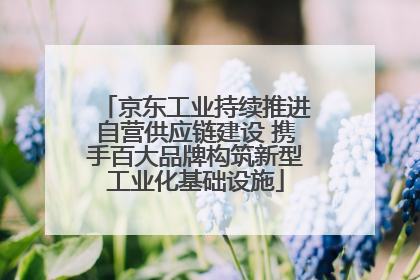 京东工业持续推进自营供应链建设 携手百大品牌构筑新型工业化基础设施