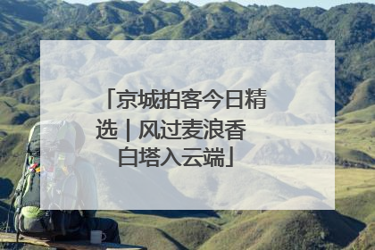 京城拍客今日精选｜风过麦浪香 白塔入云端