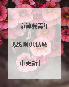 京津冀青年规划师共话城市更新