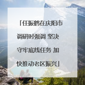 任振鹤在庆阳市调研时强调 坚决守牢底线任务 加快推动老区振兴