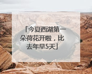 今夏西湖第一朵荷花开啦，比去年早5天