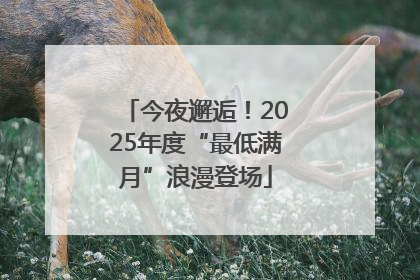 今夜邂逅！2025年度“最低满月”浪漫登场