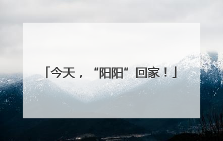 今天，“阳阳”回家！