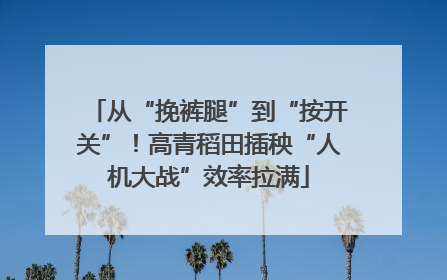 从“挽裤腿”到“按开关”！高青稻田插秧“人机大战”效率拉满