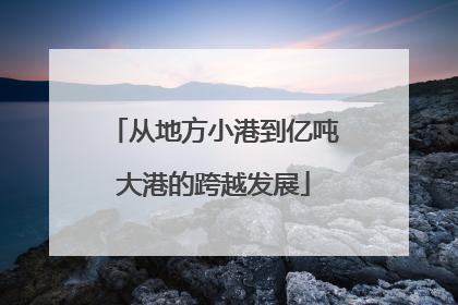 从地方小港到亿吨大港的跨越发展