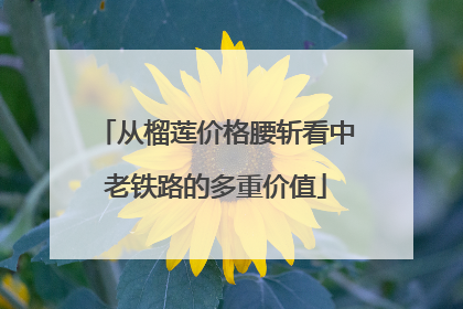 从榴莲价格腰斩看中老铁路的多重价值