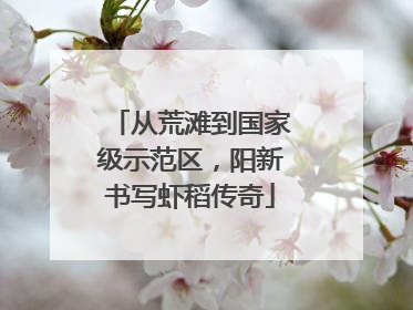 从荒滩到国家级示范区，阳新书写虾稻传奇