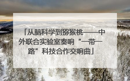 从脑科学到猕猴桃——中外联合实验室奏响“一带一路”科技合作交响曲