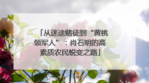 从迷途赌徒到“黄桃领军人”：肖石明的高素质农民蜕变之路