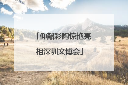 仰韶彩陶惊艳亮相深圳文博会
